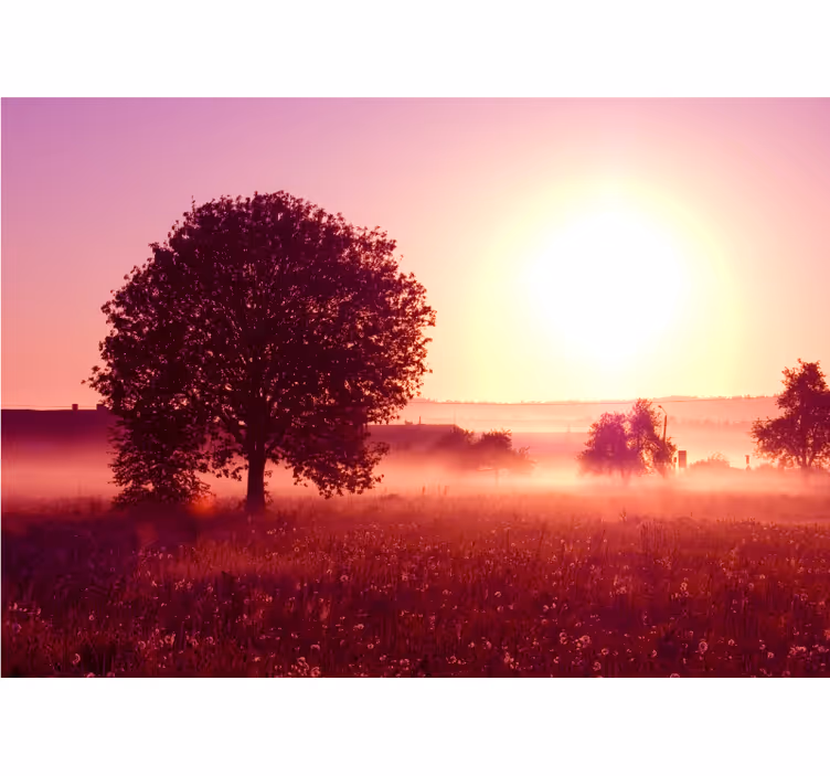 Silhouetted tree sunset fototapete narava - TenStickers