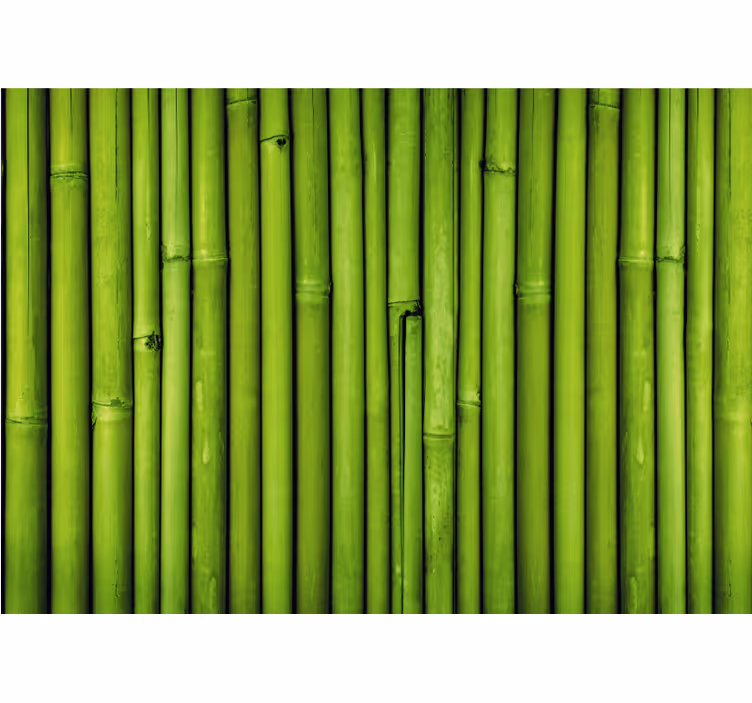 Green bamboo stalks fototapeta s bambusom - TenStickers