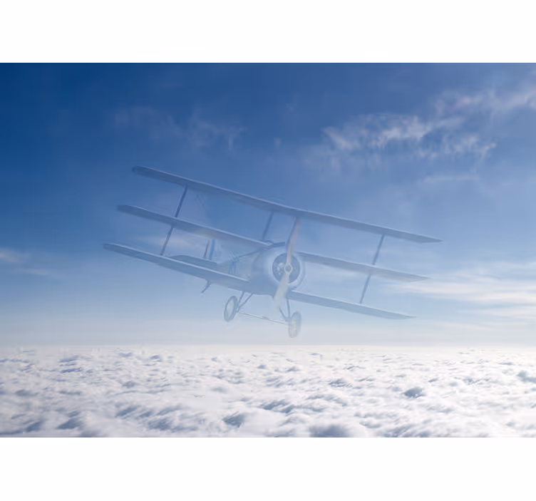 Nebo z letalskimi poročnimi stenskimi fototapete - TenStickers