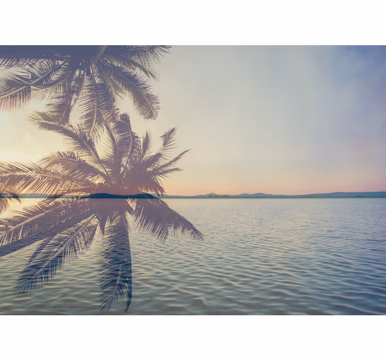 Serene palm silhouette fototapete narava - TenStickers