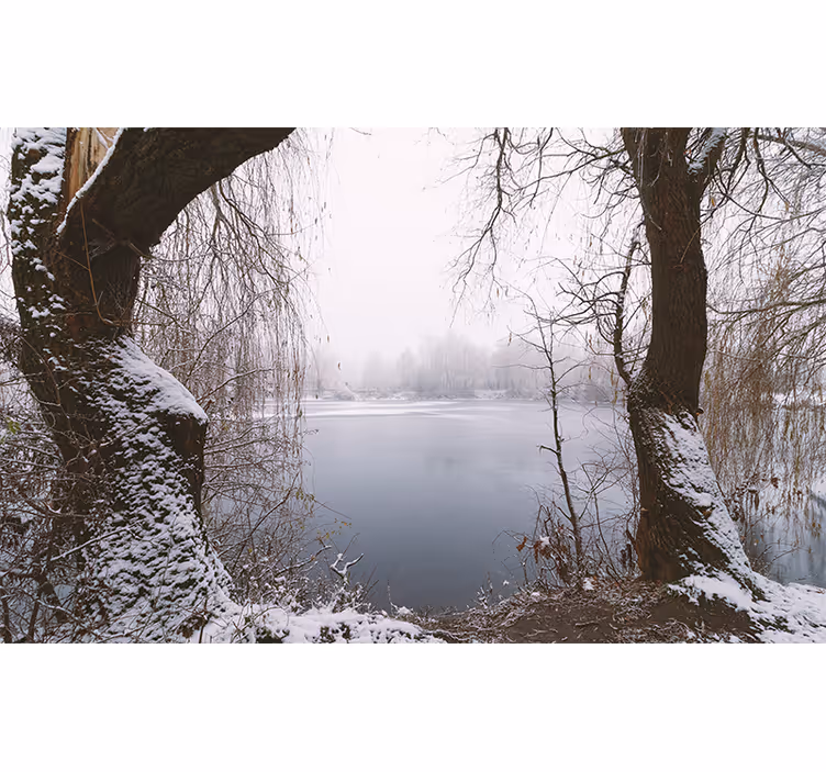 Pogled na zamrznjeno jezero Fototapeta z gorami - TenStickers