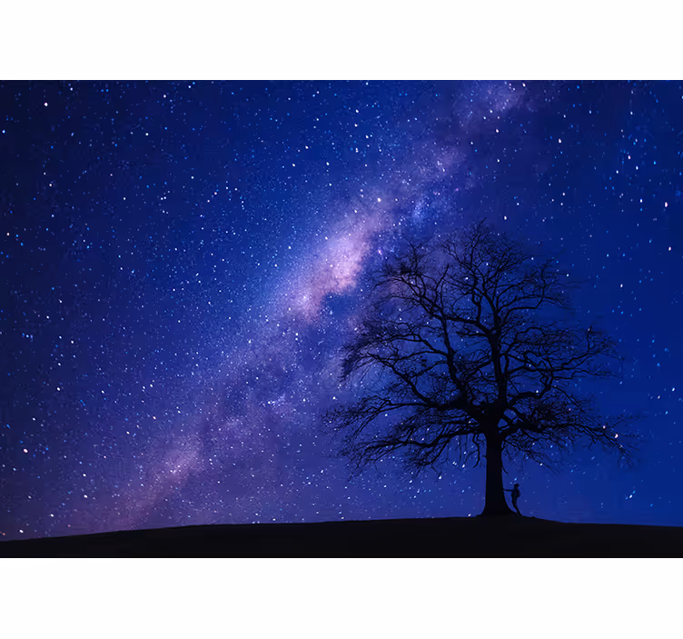 Astralni nočni pogled Vesoljski fototapeti - TenStickers