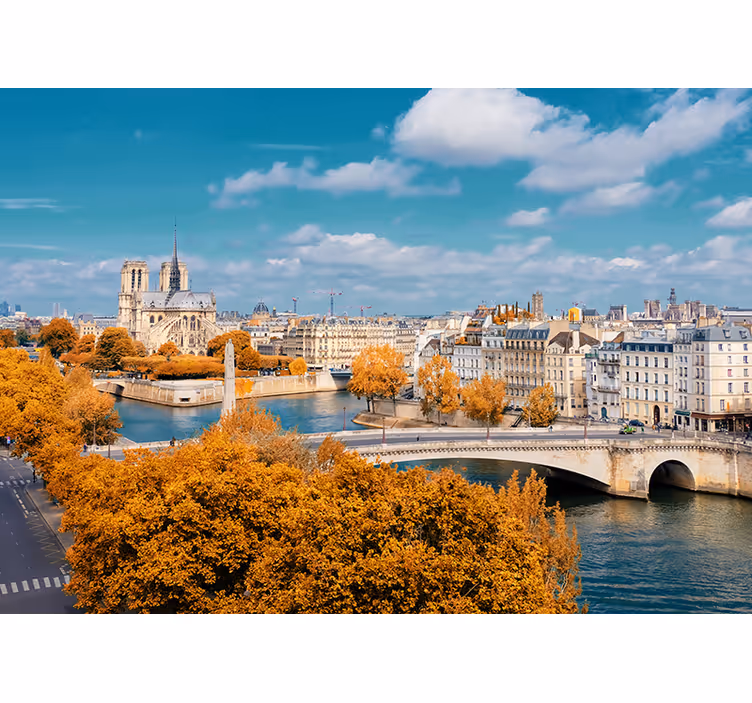 Notre dame autumn view fototapete pariz - TenStickers