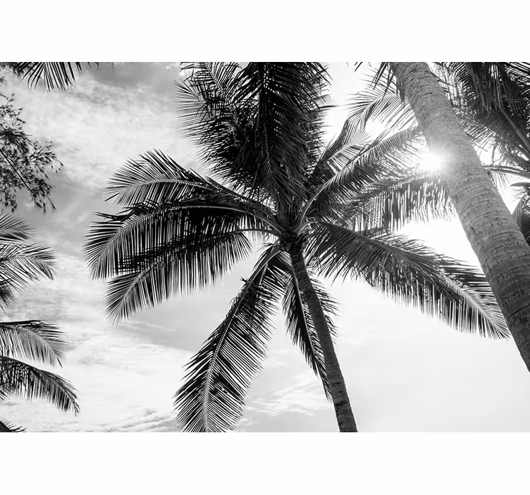Prizor tropskih palm Fototapete z morjem - TenStickers