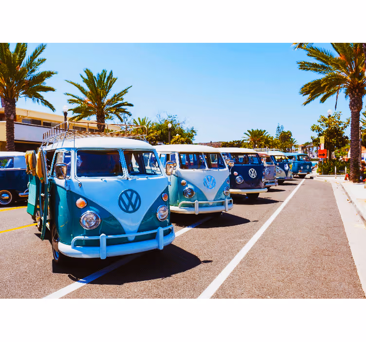 Classic volkswagen vans fototapeta z vozili - TenStickers