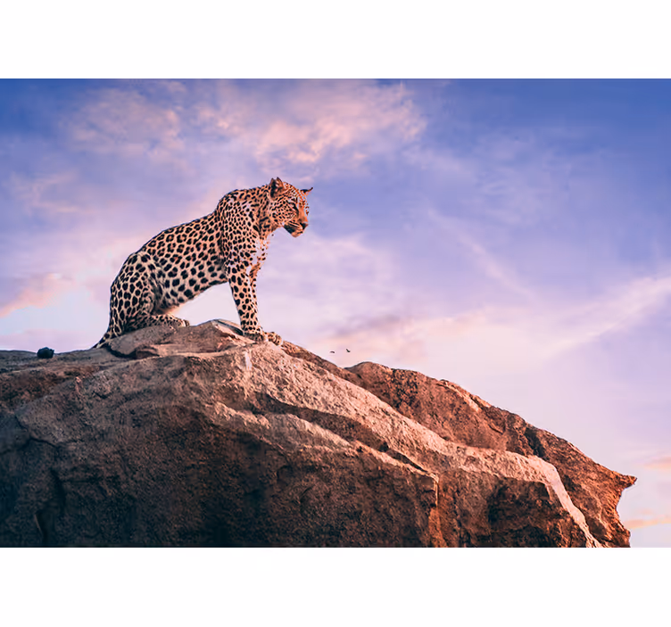 Leopard na skali Fototapete z živalmi - TenStickers