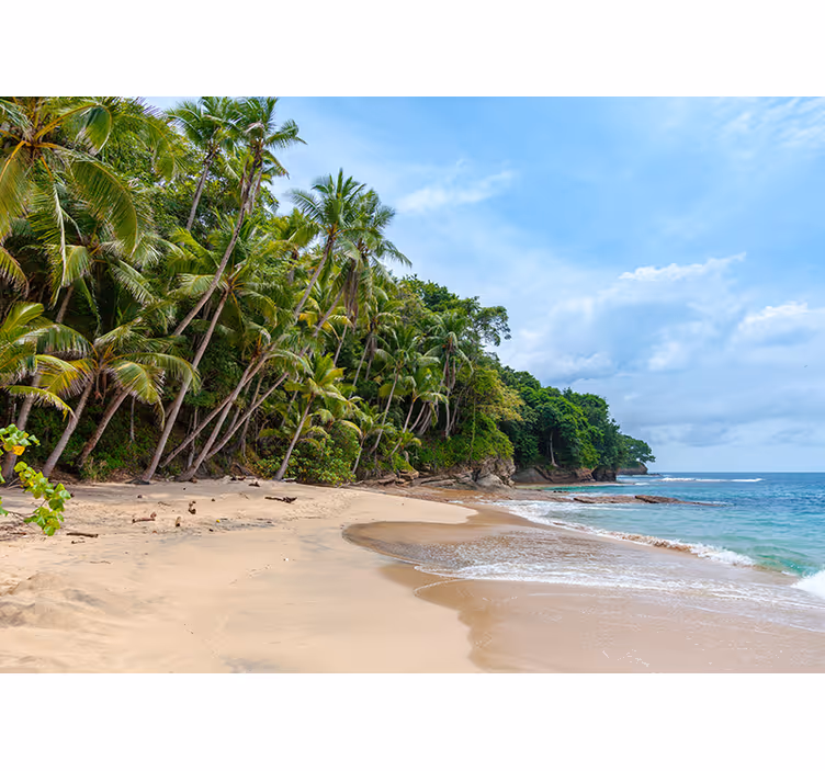 Tropical shore oasis fototapete narava - TenStickers