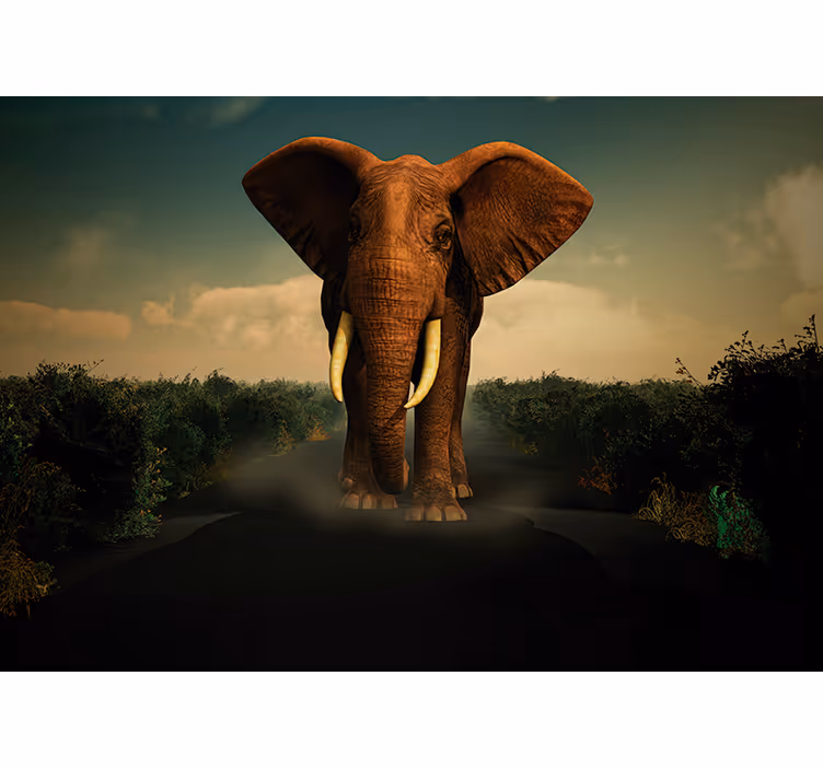 Majestic elephant fototapete z živalmi - TenStickers
