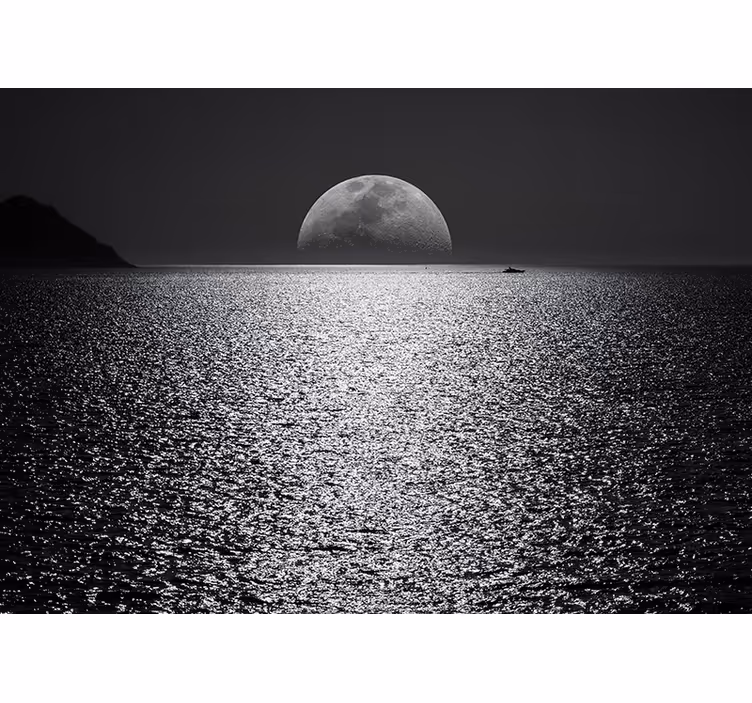 Mesečni pogled Fototapete z morjem - TenStickers