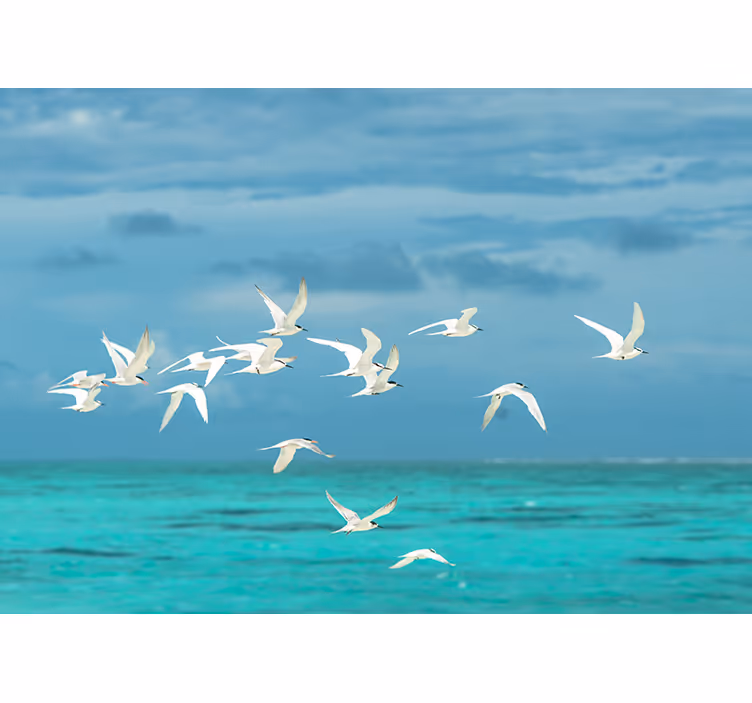 Flying birds scenic fototapete narava - TenStickers