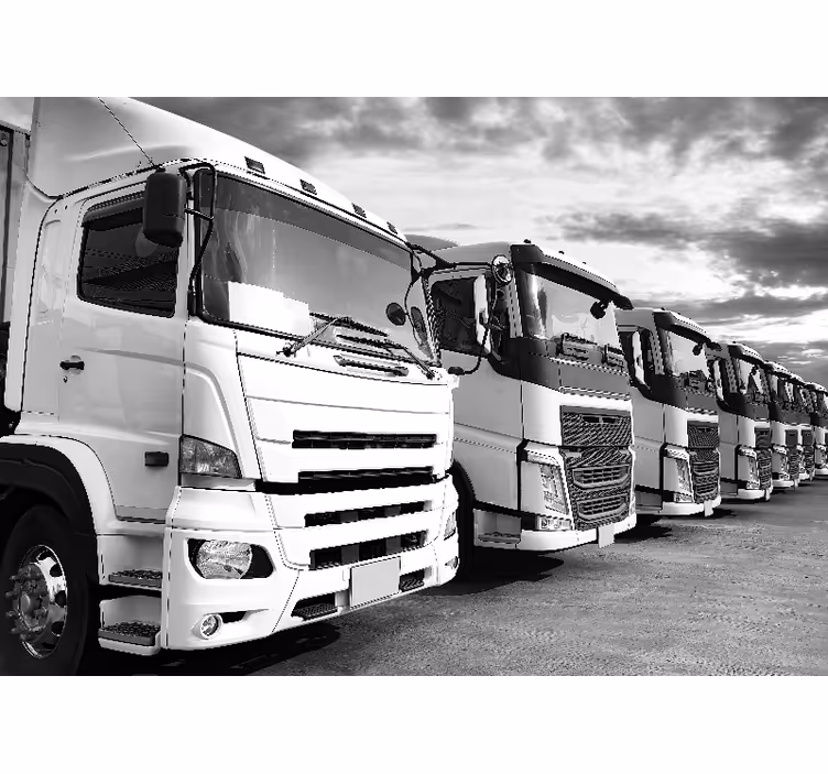 Trucks lineup fototapeta z vozili - TenStickers