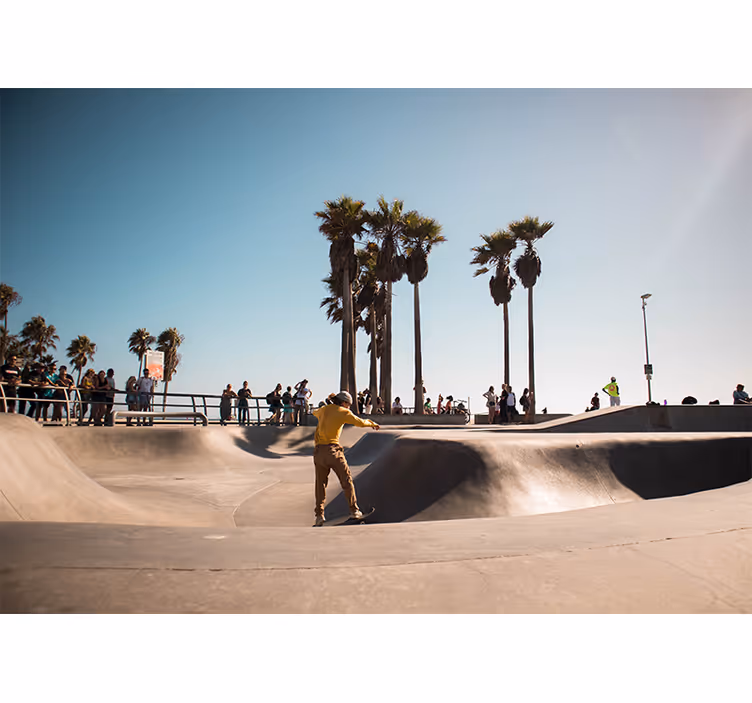 Skate palma cestni stenski zid - TenStickers