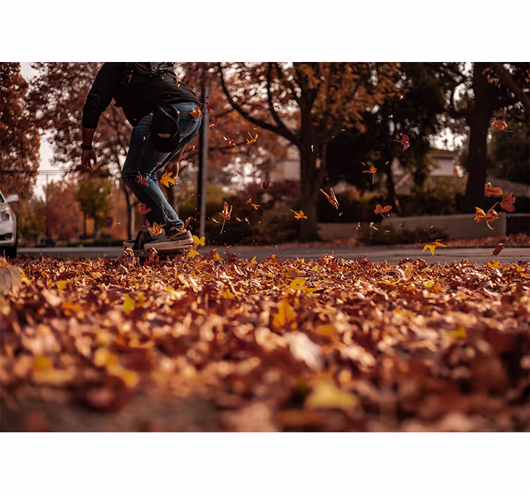 Autumn leaves stkater fototapete z mestnimi motivi - TenStickers