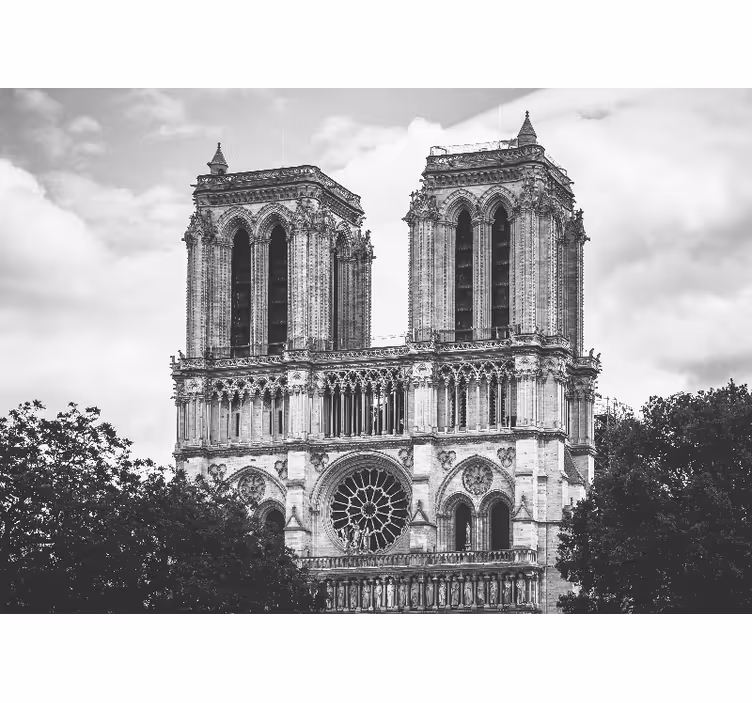 Notredamska katedrala Fototapete Pariz - TenStickers