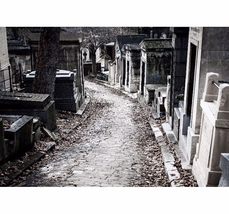 Cemetery pathway scene fototapete z mesti in državami - TenStickers