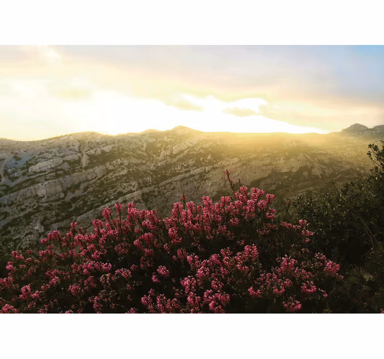 Blooming pink flora fototapete narava - TenStickers