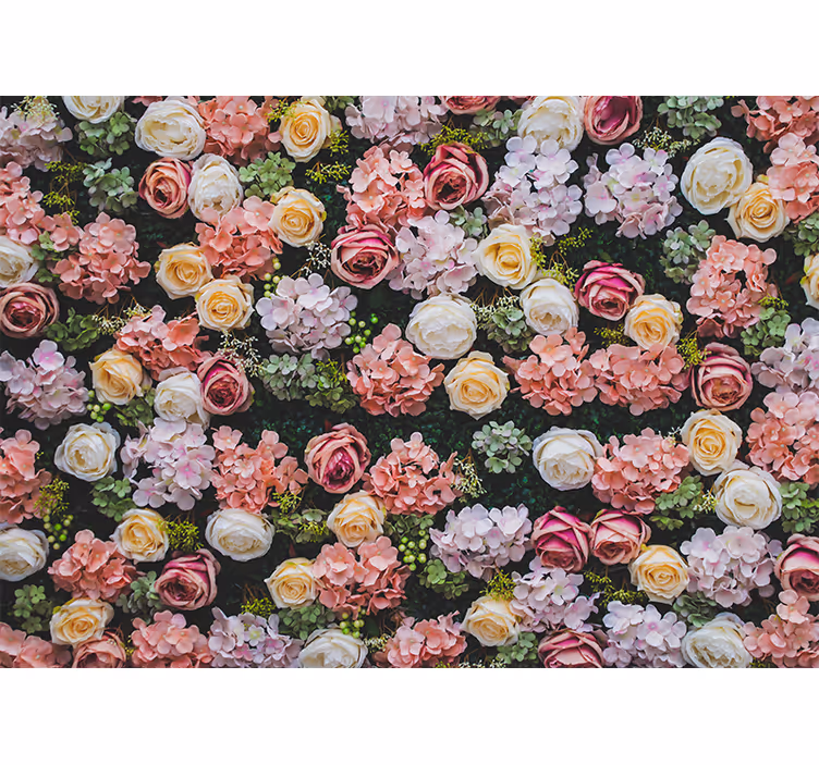 Blooming rose accents fototapete cvetje - TenStickers