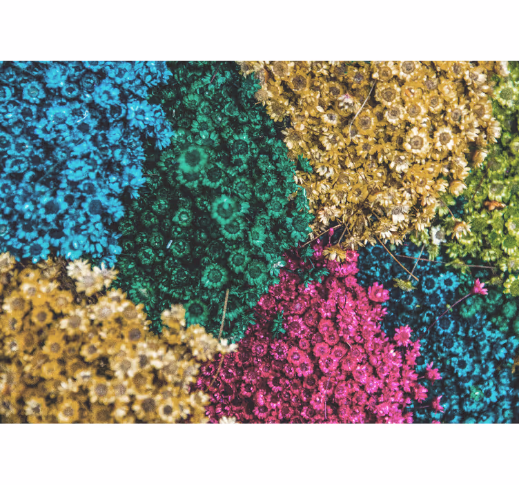 Colorful floral patterns fototapete cvetje - TenStickers