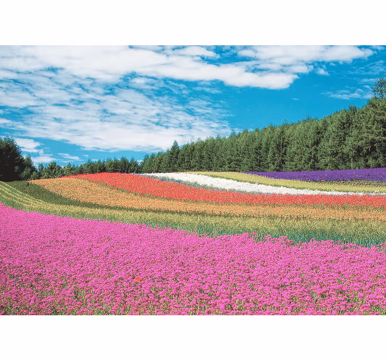 Vibrant floral landscape fototapete cvetje - TenStickers