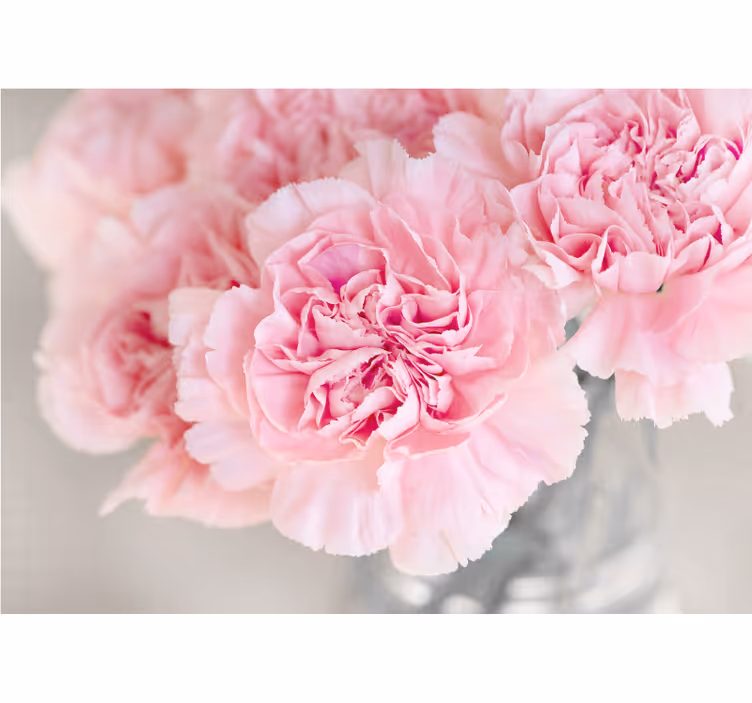 Lovely pink blossoms fototapete cvetje - TenStickers