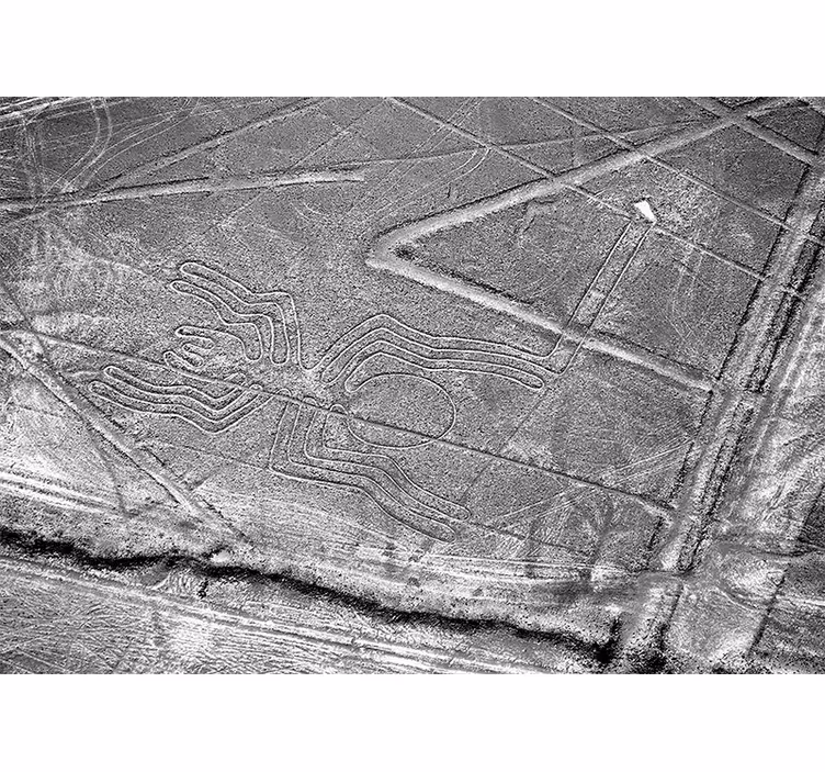 Nazca spider geoglyph fototapete z živalmi - TenStickers