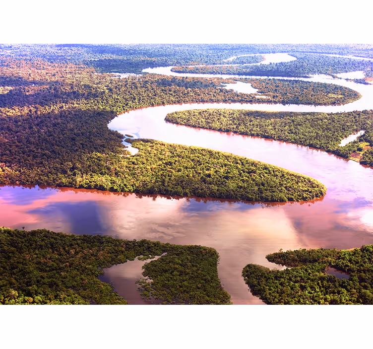 Stenski freski reke amazonke - TenStickers