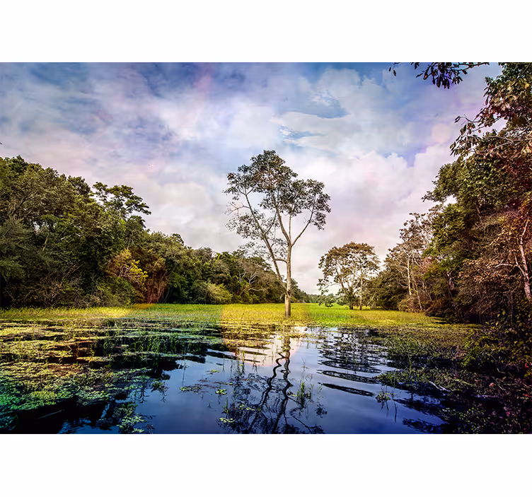 Tranquil nature scene stenske poslikave - TenStickers