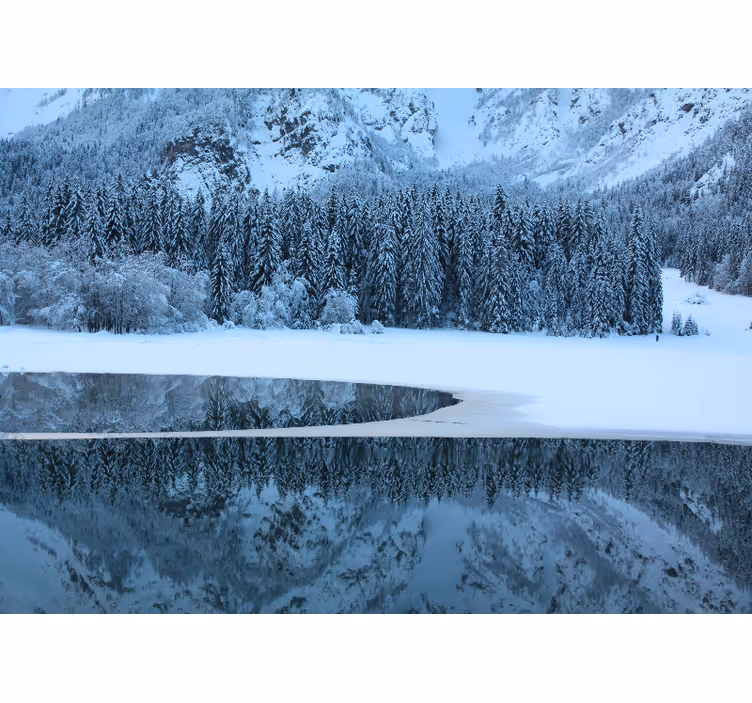 Serene winter landscape stenske poslikave - TenStickers