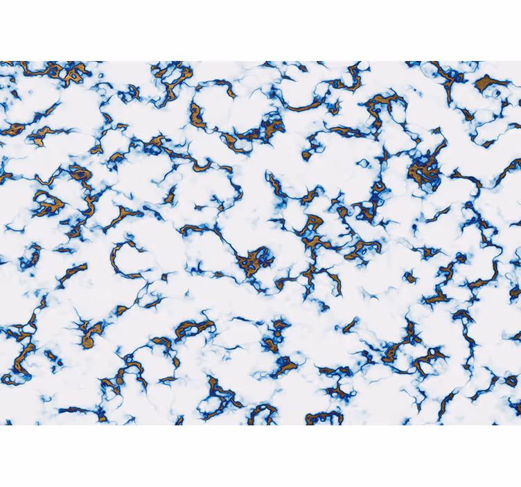Marble pattern texture fototapete s teksturami - TenStickers