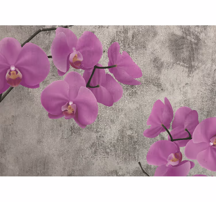 Rose orchid blossoms fototapete cvetje - TenStickers