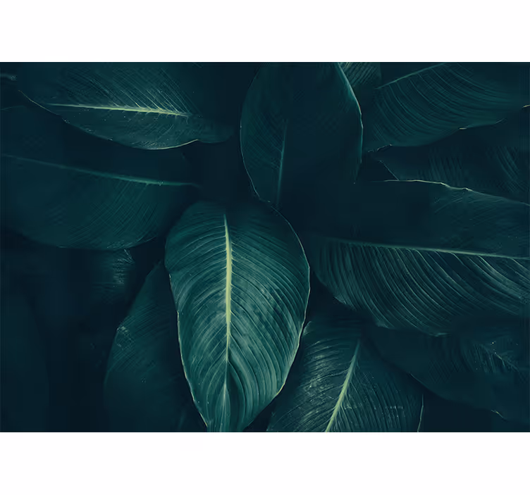 Lush leafy texture fototapete narava - TenStickers