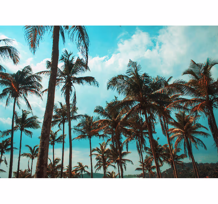 Palm trees paradise fototapete z naravo - TenStickers