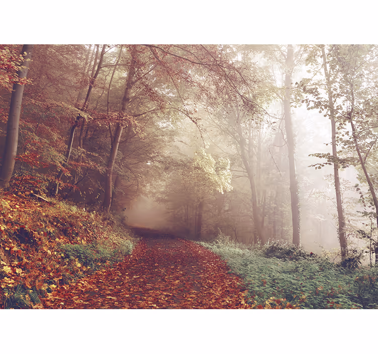 Autumn trail landscape fototapeta gozd - TenStickers