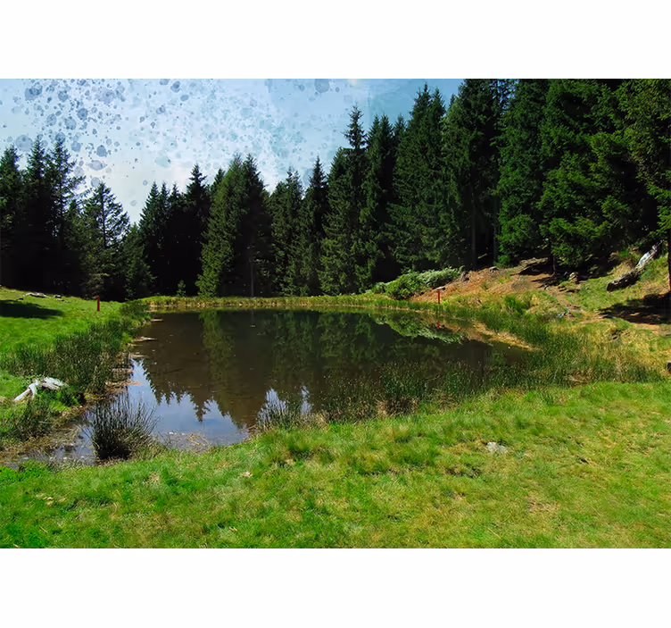 Tranquil forest view stenske poslikave - TenStickers