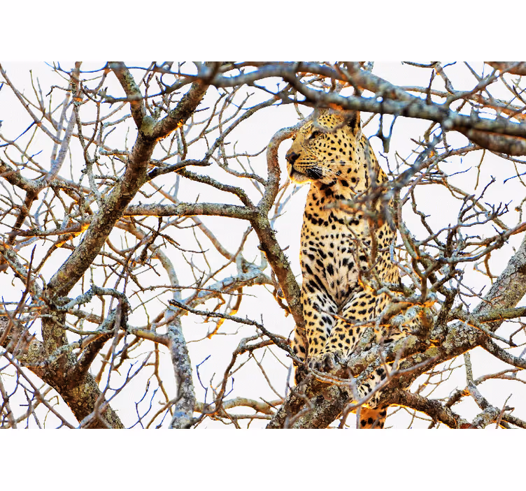 Leopard med vejami Fototapete z drugimi živalskimi motivi - TenStickers