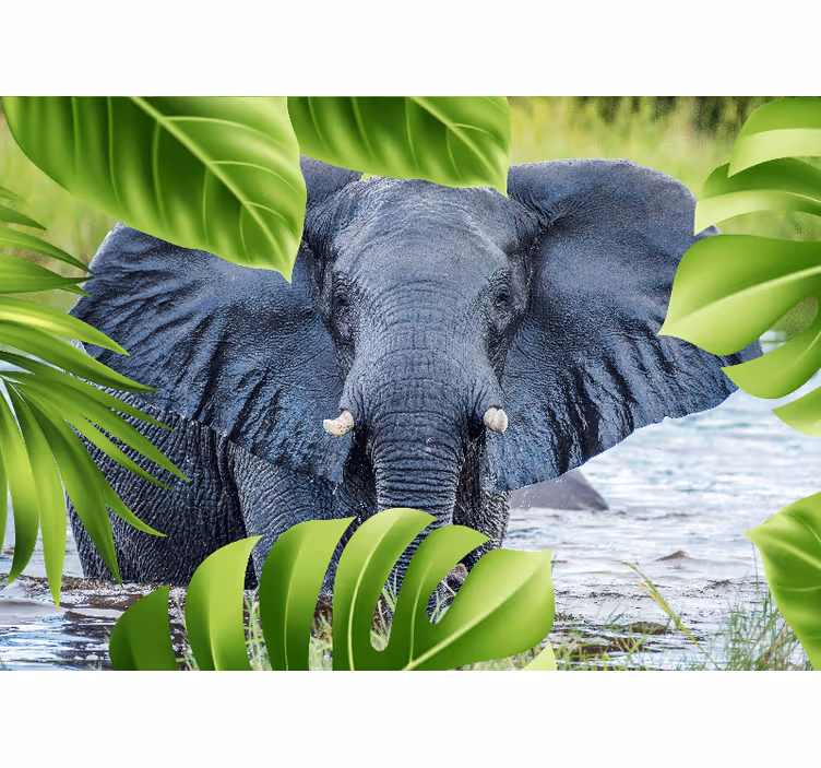 Regal elephant experience fototapete z živalmi - TenStickers