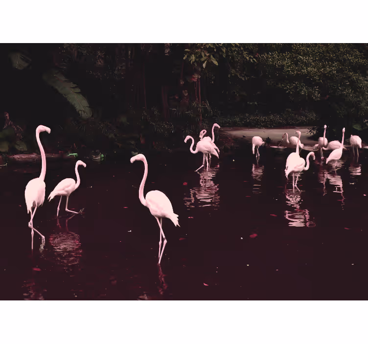 Fototapete za pisarno elegantni flamingi v družbi - TenStickers