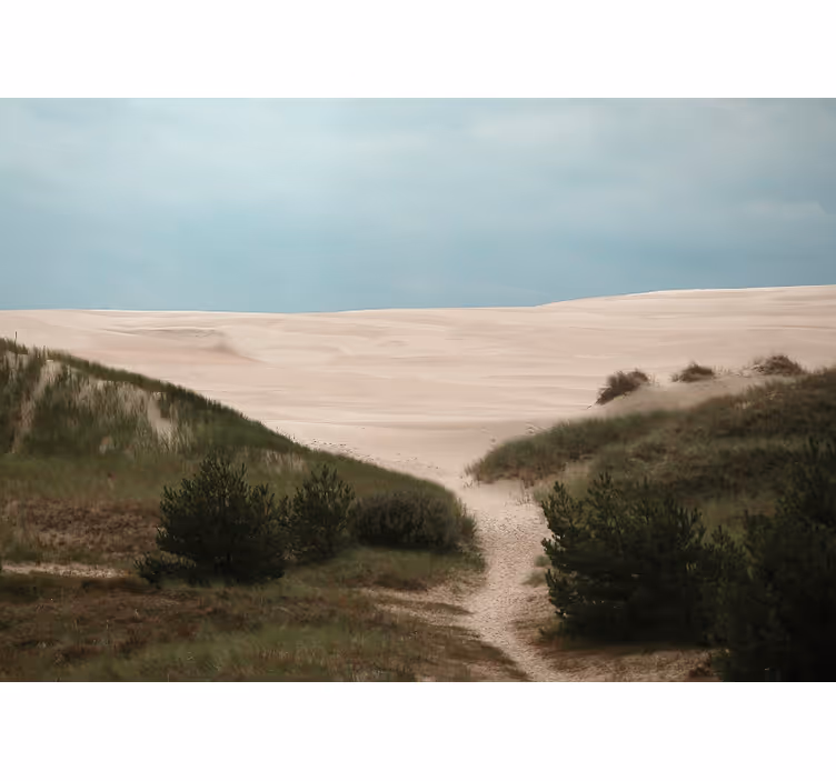 Sandy dune path stenske poslikave - TenStickers