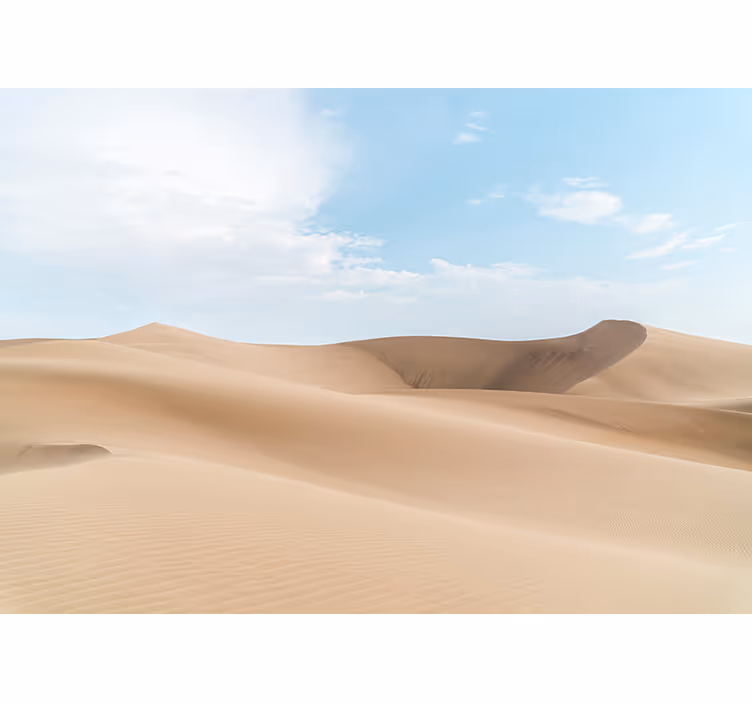 Serene sand dunes fototapete puščava - TenStickers