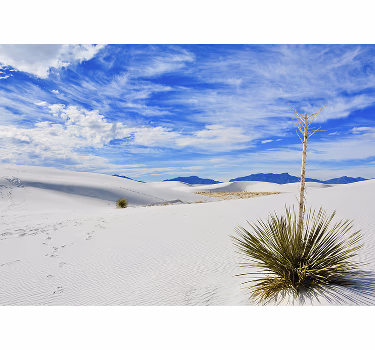 Desert scenery vista stenske poslikave - TenStickers