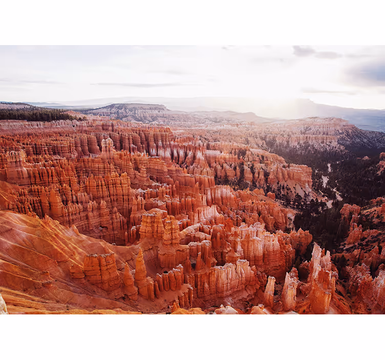 Bryce canyon view stenske poslikave - TenStickers