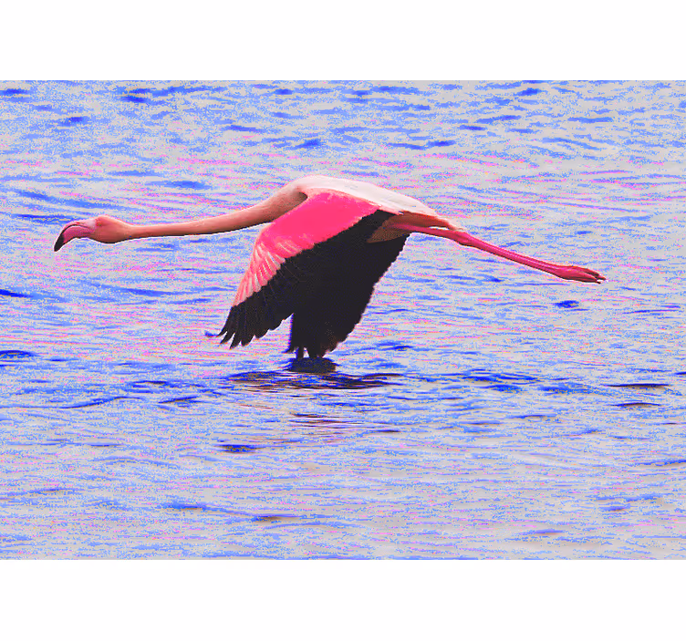 Flamingo v letu Fototapete z drugimi živalskimi motivi - TenStickers