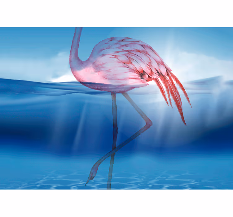 Elegant flamingo stance fototapete z živalmi - TenStickers