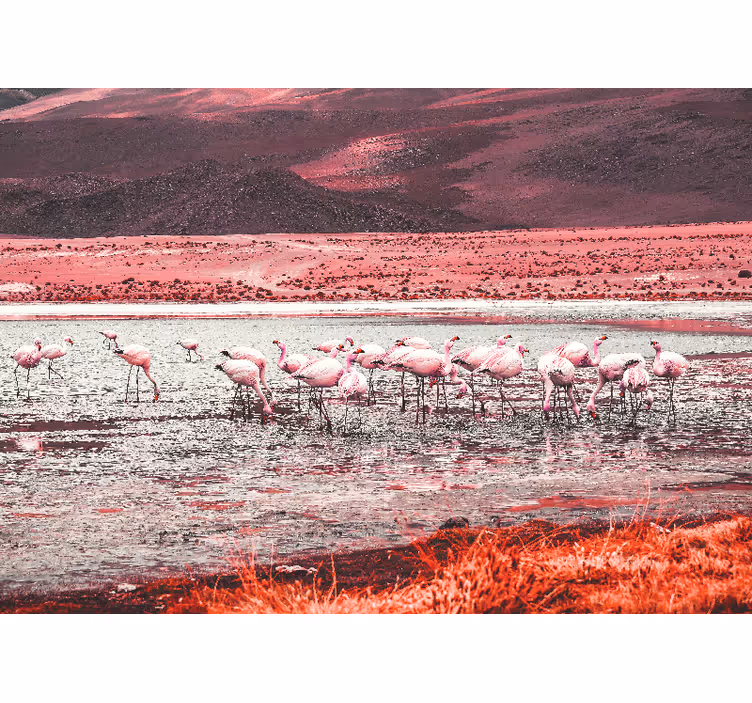 Fototapete z drugimi živalskimi motivi flamingo v naravi - TenStickers
