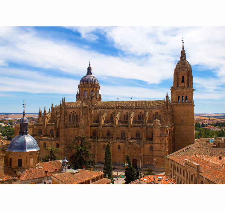 Historic cathedral view fototapete madrid - TenStickers
