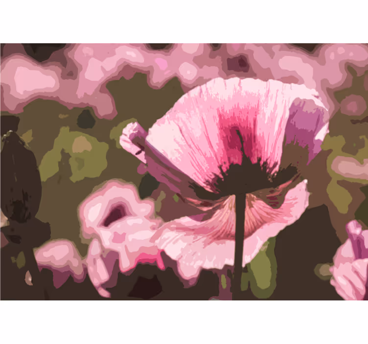 Pink poppy bloom fototapeta z makovimi cvetovi - TenStickers