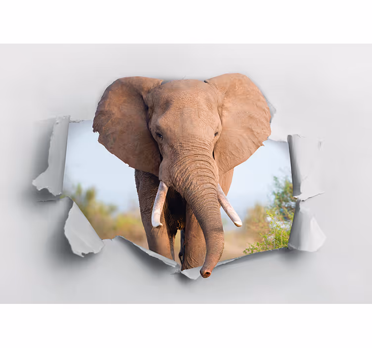 Slon, ki razbija 3d stensko poslikavo - TenStickers