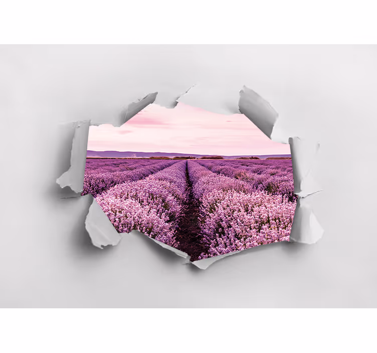 Lavender field view fototapete cvetlic - TenStickers