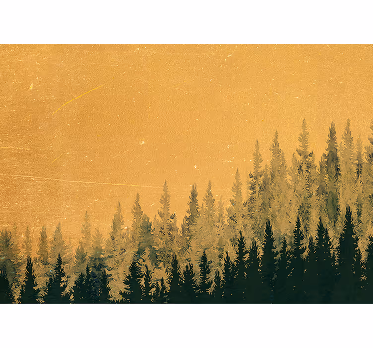 Pine tree silhouette fototapete narava - TenStickers