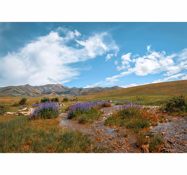 Vast mountain landscape fototapete narava - TenStickers